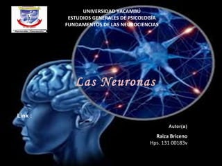 UNIVERSIDAD YACAMBÚ
ESTUDIOS GENERALES DE PSICOLOGÍA
FUNDAMENTOS DE LAS NEUROCIENCIAS
Las Neuronas
Autor(a)
Raiza Briceno
Hps. 131 00183v
Link :
 