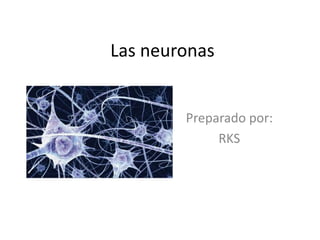 Las neuronas
Preparado por:
RKS
 