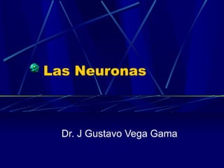 Las Neuronas Dr. J Gustavo Vega Gama 