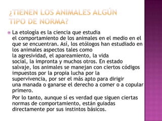  La etología es la ciencia que estudia
el comportamiento de los animales en el medio en el
que se encuentran. Así, los etólogos han estudiado en
los animales aspectos tales como
la agresividad, el apareamiento, la vida
social, la impronta y muchos otros. En estado
salvaje, los animales se manejan con ciertos códigos
impuestos por la propia lucha por la
supervivencia, por ser el más apto para dirigir
una manada o ganarse el derecho a comer o a copular
primero.
Por lo tanto, aunque sí es verdad que siguen ciertas
normas de comportamiento, están guiadas
directamente por sus instintos básicos.
 