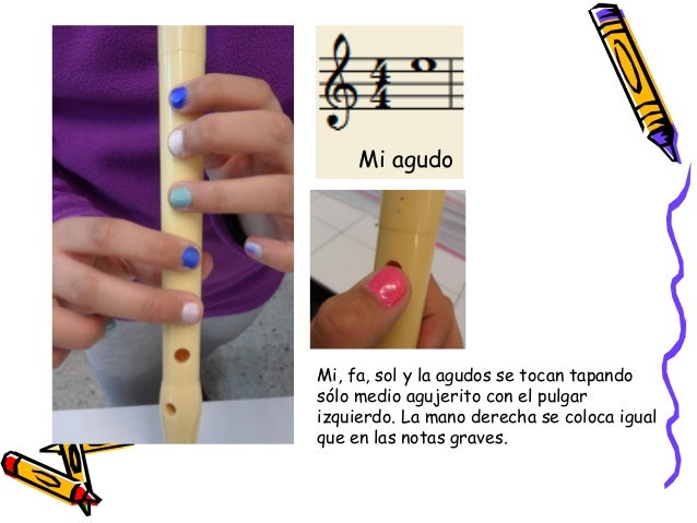 Las notas en la flauta dulce