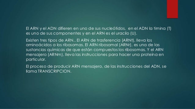 Ventajas y desventajas del arn