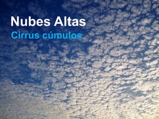 Nubes Altas 
Cirrus cúmulos  