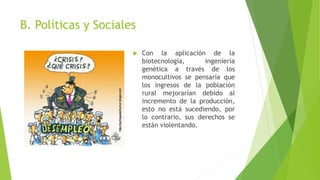 B. Políticas y Sociales 
 Con la aplicación de la 
biotecnología, ingeniería 
genética a través de los 
monocultivos se pensaría que 
los ingresos de la población 
rural mejorarían debido al 
incremento de la producción, 
esto no está sucediendo, por 
lo contrario, sus derechos se 
están violentando. 
 