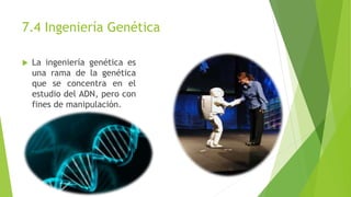 7.4 Ingeniería Genética 
 La ingeniería genética es 
una rama de la genética 
que se concentra en el 
estudio del ADN, pero con 
fines de manipulación. 
 