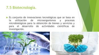 7.5 Biotecnología. 
 Es conjunto de innovaciones tecnológicas que se basa en 
la utilización de microorganismos y procesos 
microbiológicos para la obtención de bienes y servicios y 
para el desarrollo de actividades científicas de 
investigación. 
 