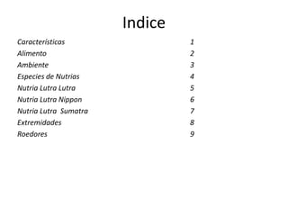 Indice
Características 1
Alimento 2
Ambiente 3
Especies de Nutrias 4
Nutria Lutra Lutra 5
Nutria Lutra Nippon 6
Nutria Lutra Sumatra 7
Extremidades 8
Roedores 9
 