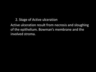 2. Stage of Active ulceration
Active ulceration result from necrosis and sloughing
of the epithelium. Bowman’s membrane and the
involved stroma.

 