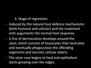 3. Stage of regression
- Induced by the natural host defence mechanisms
(both humoral and cellular) and the treatment
with auguments the normal host response.
- A line of dermacation develops around the
ulcer, which consists of leucocytes that neutralize
and eventually phagocytose the offending
organisms and necrotic cellular debris.
- The ulcer now begins to heal and epithelium
starts growing over the edges.

 