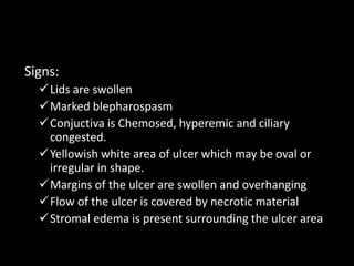 Signs:
Lids are swollen
Marked blepharospasm
Conjuctiva is Chemosed, hyperemic and ciliary
congested.
Yellowish white area of ulcer which may be oval or
irregular in shape.
Margins of the ulcer are swollen and overhanging
Flow of the ulcer is covered by necrotic material
Stromal edema is present surrounding the ulcer area

 
