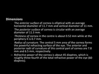 Dimensions
The anterior surface of cornea is elliptical with an average
horizontal diameter of 11.7 mm and vertical diameter of 11 mm.
The posterior surface of cornea is circular with an average
diameter of 11.5 mm.
Thickness of cornea in the centre is about 0.52 mm while at the
periphery it is 0.7 mm.
Radius of curvature. The central 5 mm area of the cornea forms
the powerful refracting surface of the eye. The anterior and
posterior radii of curvature of this central part of cornea are 7.8
mm and 6.5 mm, respectively.
– Refractive power of the cornea is about 45 dioptres, which is
roughly three-fourth of the total refractive power of the eye (60
dioptres).
–

–

–

–

 