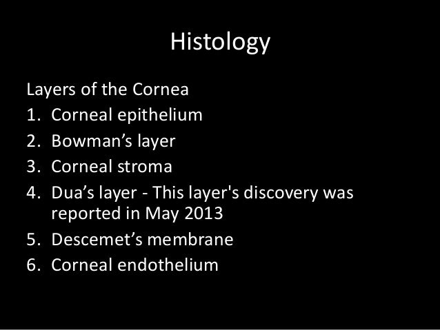 Laso corneal ulcer presentation