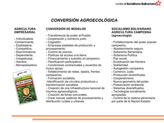 CONVERSIÓN AGROECOLÓGICA AGRICULTURA EMPRESARIAL - Individualista. -Contaminante. - Explotadora. - Competitiva. - Discriminatoria.  - Dependiente. - Irrespetuosa. - Hambre - Monopolizadora SOCIALISMO BOLIVARIANO AGRICULTURA CAMPESINA (agroecología) - Fortalecimiento del poder popular campesino. - Abastecimiento seguro. - Soberanía Alimentaria. - Soberanía Política - Paz social. - Erradicación del Hambre - Solidaridad. - Autogestión campesina. - Comercio Justo. - Producción diversificada. - Cooperativismo. - Nueva geometría del poder. - Preservación ambiental. - Sistemas diversificados. - Tecnologías socialmente apropiadas. - Control de la cadena alimentaria por parte de la Nación-Estado. CONVERSIÓN DE MODELOS - Transferencia de poder al Pueblo  - Cooperación y comercio justo. - Cogestión - Empresas estatales de producción y procesamiento. - Control de precios. - Políticas de acceso a la tierra. - Financiamiento y subsidio al campesino. - Planificación participativa. - Condiciones contractuales y acuerdos de mutuo apoyo. - fortalecimiento de redes, tejidos, frentes campesinos. - Formación socialista. -Identificación de circuitos productivos y transformación socialista. - Creación de una infraestructura nacional de insumos agroecológicos. - Creación de ferias comunales. - Crear nuevas cadenas de procesamiento y distribución rurales y urbanas. 
