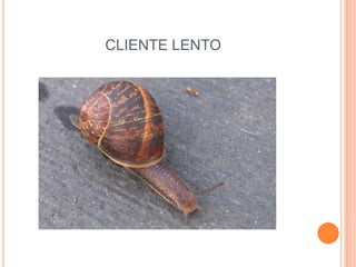 CLIENTE LENTO
 