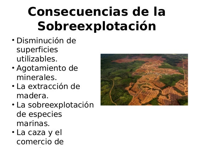 La sobreexplotación de recursos naturales