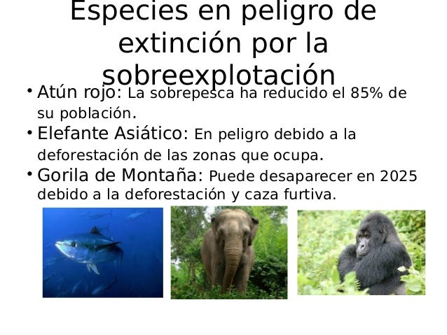 La sobreexplotación de recursos naturales