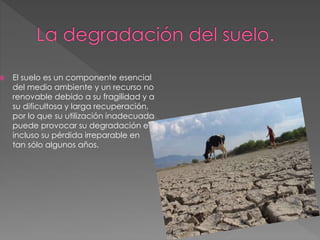  El suelo es un componente esencial
del medio ambiente y un recurso no
renovable debido a su fragilidad y a
su dificultosa y larga recuperación,
por lo que su utilización inadecuada
puede provocar su degradación e
incluso su pérdida irreparable en
tan sólo algunos años.
 