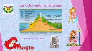 Las ocho regiones naturales
Según Javier Pulgar Vidal
 