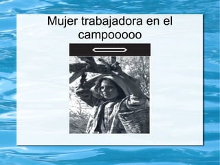 Mujer trabajadora en el
     campooooo
 