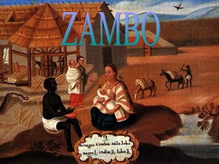 ZAMBO