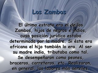 Los Zambos El último estrato era el de los Zambos, hijos de negros e indios, cuya posición jurídica estaba determinada por la madre. Si ésta era africana el hijo también lo era. Al ser su madre india, tributaba como tal. Se desempeñaron como peones, braceros, carreteros, etc. Realizaron, en general, las labores más serviles. 