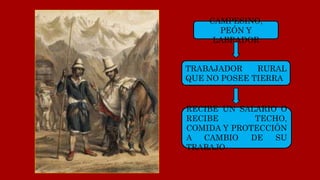 CAMPESINO,
PEÓN Y
LABRADOR
TRABAJADOR RURAL
QUE NO POSEE TIERRA
RECIBE UN SALARIO O
RECIBE TECHO,
COMIDA Y PROTECCIÓN
A CAMBIO DE SU
TRABAJO
 