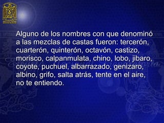Alguno de los nombres con que denominó
a las mezclas de castas fueron: tercerón,
cuarterón, quinterón, octavón, castizo,
morisco, calpanmulata, chino, lobo, jibaro,
coyote, puchuel, albarrazado, genizaro,
albino, grifo, salta atrás, tente en el aire,
no te entiendo.
 
