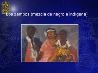 Los zambos (mezcla de negro e indígena)
 