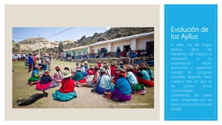 Evolución de
los Ayllus
El Ayllu fue de origen
preinca, pero los
habitantes del imperio lo
adoptaron a su
organización social-
económica y supervivió
cuando la conquista
española, llegando hasta
nuestros días en que se
les conoce como
Comunidades
Campesinas, las cuales
están amparadas por las
leyes y la constitución del
Estado.
 