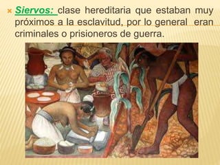  Siervos: clase hereditaria que estaban muy
próximos a la esclavitud, por lo general eran
criminales o prisioneros de guerra.
 
