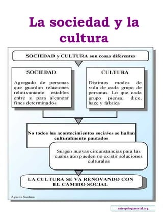La sociedad y la cultura                           