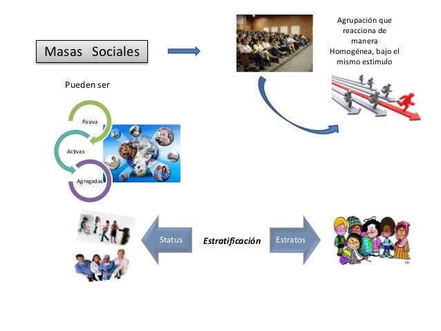 La sociedad y su evolucion (mapa mental)