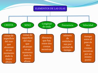 ELEMENTOS DE LAS OLAS
CRESTA SENO
Longitud
de onda
Frecuencia Velocidad
zonas de
superficie
del mar
que
alcanzan
en un
momento
dado la
mayor
altura.
zonas de
superficie
del mar
que
alcanzan
en un
momento
dado la
menor
altura.
distancia
que hay
entre dos
crestas
sucesivas.
número
de
ondulacio
nes por
unidad de
tiempo
tiempo
entre el
paso de
dos
crestas
sucesivas
por un
mismo
punto
 