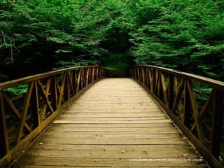 LA SOLUZIONE DEI CONFLITTI ANDREA GIUSEPPE LAZZARI
 