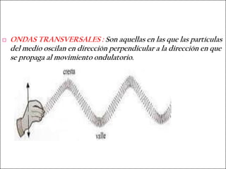    ONDAS TRANSVERSALES : Son aquellas en las que las partículas
    del medio oscilan en dirección perpendicular a la dirección en que
    se propaga al movimiento ondulatorio.
 