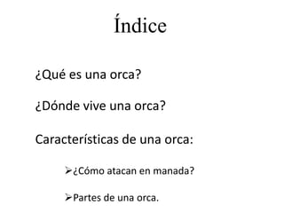 Índice
¿Qué es una orca?
¿Dónde vive una orca?
Características de una orca:
¿Cómo atacan en manada?
Partes de una orca.