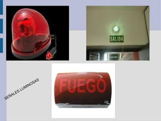 S
                     O SA
                  MIN
             S LU
         E
     Ñ AL
SE
 