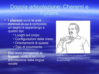 Doppia articolazione: Cheremi e
Fonemi
 I cheremi sono le unià
minimali di cui è composto
un segno e appartengo a
quattro tipi:
• Luoghi sul corpo
• Configurazioni della mano
• Orientamenti di questa
• Tipo di movimento
 Essi sono paragonati ai
fonemi, unità di seconda
articolazione della lingua
vocale

Ad esempio il segno cane viene articolato con la
configurazione a mano aperta, sul mento del segnante,
con il palmo della mano rivolto verso il basso e con un
Movimento di contatto

 
