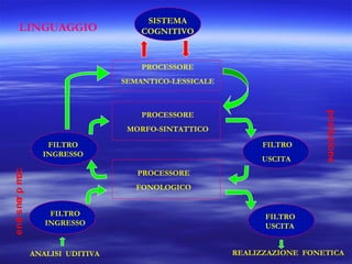 LINGUAGGIO

SISTEMA
COGNITIVO

PROCESSORE
SEMANTICO-LESSICALE

MORFO-SINTATTICO
FILTRO

e no s ner p m c
i
o

FILTRO
INGRESSO

USCITA

produzione

PROCESSORE

PROCESSORE
FONOLOGICO
FILTRO
INGRESSO

ANALISI UDITIVA

FILTRO
USCITA
REALIZZAZIONE FONETICA

 