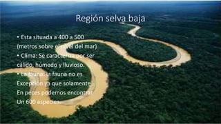 Región selva baja
• Esta situada a 400 a 500
(metros sobre el nivel del mar)
• Clima: Se caracteriza por ser
cálido, húmedo y lluvioso.
• La fauna: la fauna no es
Excepción ya que solamente
En peces podemos encontrar
Un 600 especies.
 