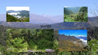 yunga
 