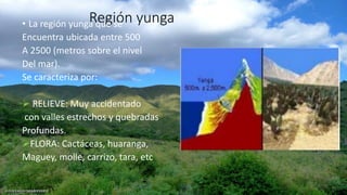Región yunga• La región yunga que se
Encuentra ubicada entre 500
A 2500 (metros sobre el nivel
Del mar).
Se caracteriza por:
 RELIEVE: Muy accidentado
con valles estrechos y quebradas
Profundas.
FLORA: Cactáceas, huaranga,
Maguey, molle, carrizo, tara, etc
 