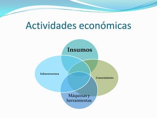 Actividades económicas
Insumos

Infraestructura
Conocimiento

Máquinas y
herramientas

 