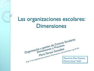 Las organizaciones escolares:
        Dimensiones




                   Maximina Díaz Tezános
                   Patricia Izuel Vidal
 