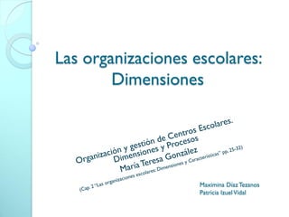 Las organizaciones escolares:
        Dimensiones




                    Maximina Díaz Tezanos
                    Patricia Izuel Vidal
 
