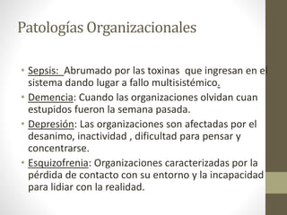 Patologías Organizacionales
• Sepsis: Abrumado por las toxinas que ingresan en el
sistema dando lugar a fallo multisistémico.
• Demencia: Cuando las organizaciones olvidan cuan
estupidos fueron la semana pasada.
• Depresión: Las organizaciones son afectadas por el
desanimo, inactividad , dificultad para pensar y
concentrarse.
• Esquizofrenia: Organizaciones caracterizadas por la
pérdida de contacto con su entorno y la incapacidad
para lidiar con la realidad.
 
