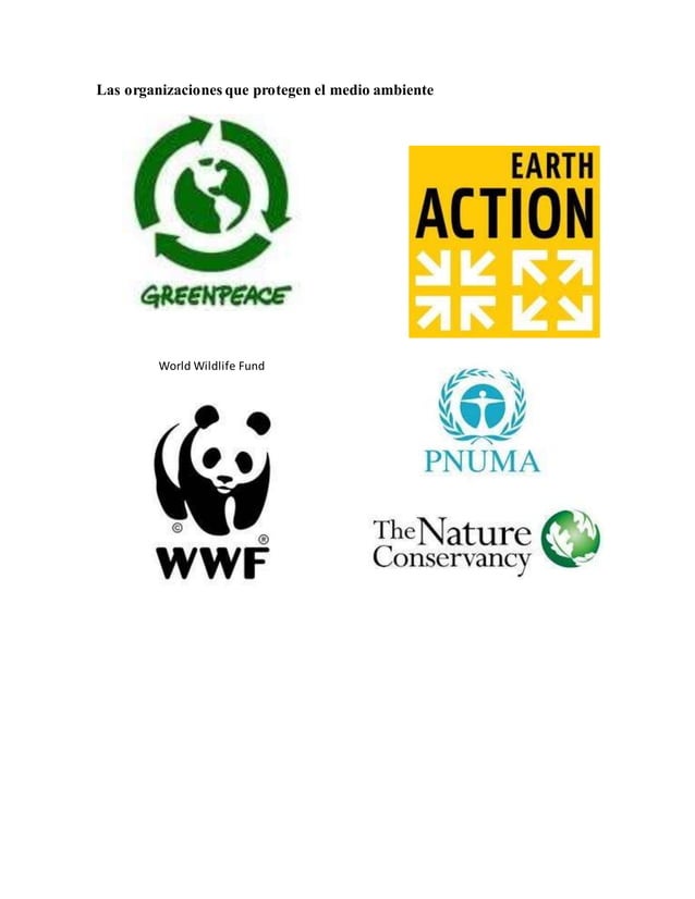 Las organizaciones que protegen el medio ambiente Las organizaciones que protegen el medio ambiente