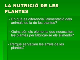 LA NUTRICIÓ DE LES PLANTES - En què es diferencia l’alimentació dels animals de la de les plantes? - Quins són els elements que necessiten les plantes per fabricar-se els aliments? - Perquè serveixen les arrels de les plantes? 