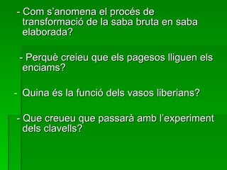 - Com s’anomena el procés de transformació de la saba bruta en saba elaborada? - Perquè creieu que els pagesos lliguen els enciams? Quina és la funció dels vasos liberians? - Que creueu que passarà amb l’experiment dels clavells? 