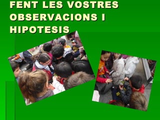 FENT LES VOSTRES OBSERVACIONS I HIPOTESIS 